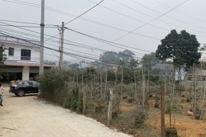 Cần bán lô đất 1500m2 view thoáng mát tại thôn Dục – Yên Bình