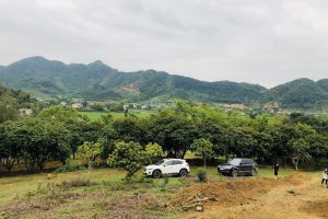Cần bán 2ha đất nghỉ dưỡng tại Xóm Cò – Yên Bình